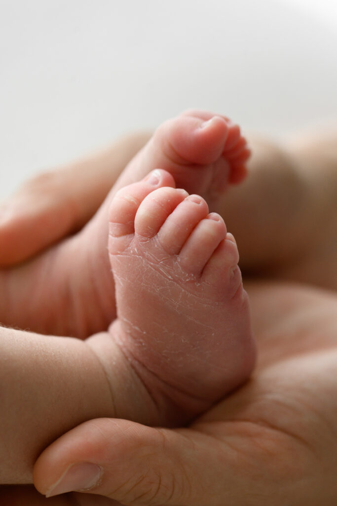 closeup-of-newborn-baby-toes-sarah-vassallo-photographer