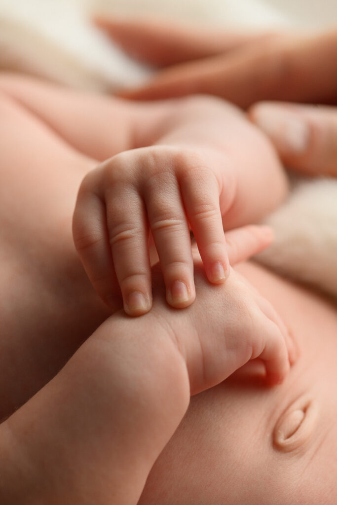 closeup detail image of newborn baby's hands during newborn photography session in Sydney